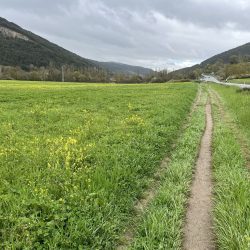 This rain in Spain was not on the plain